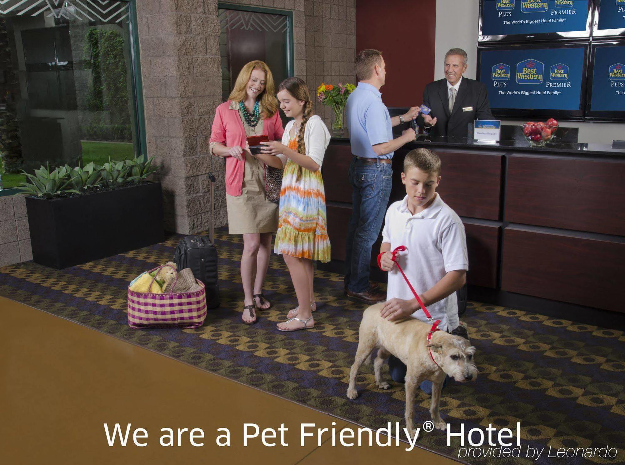 Best Western Plus Lytle Inn And Suites Eksteriør billede